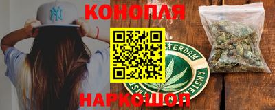 гидра Будённовск