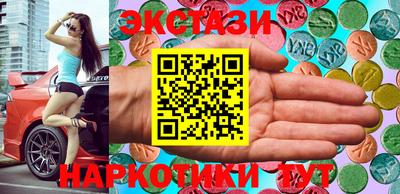 гидра Будённовск