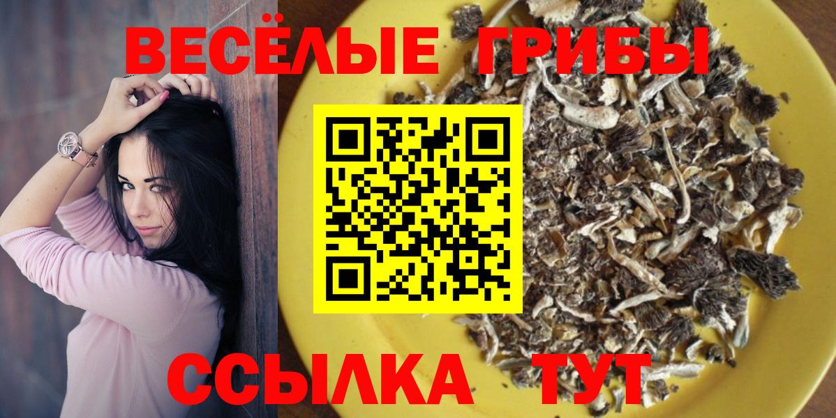 Галлюциногенные грибы прущие грибы Менделеевск