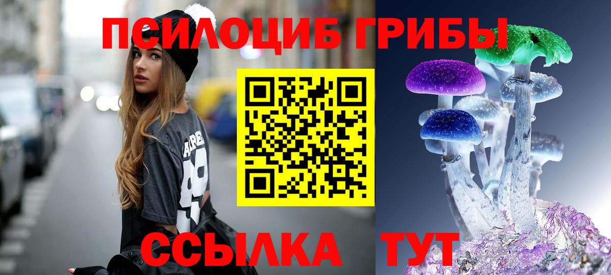 Менделеевск  Галлюциногенные грибы GOLDEN TEACHER  наркота  Псилоцибиновые грибы мицелий  Вход с VPN 
